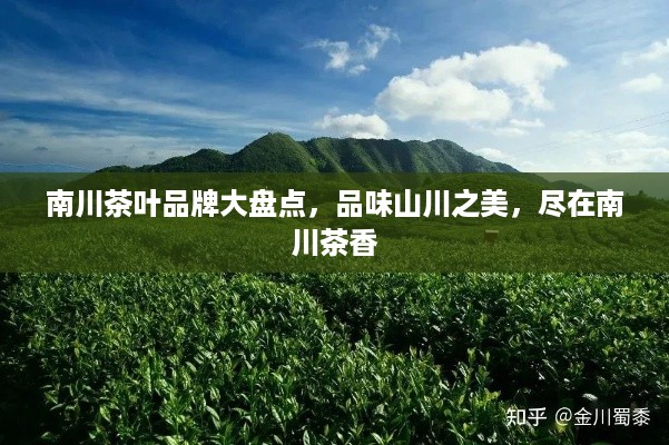 南川茶叶品牌大盘点，品味山川之美，尽在南川茶香