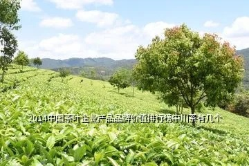 南川茶叶品牌大盘点，品味山川之美，尽在南川茶香