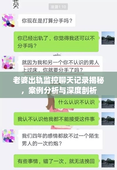 老婆出轨监控聊天记录揭秘，案例分析与深度剖析