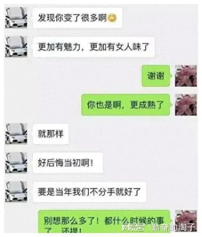 老婆出轨监控聊天记录揭秘，案例分析与深度剖析