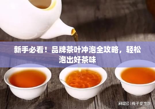 新手必看！品牌茶叶冲泡全攻略，轻松泡出好茶味