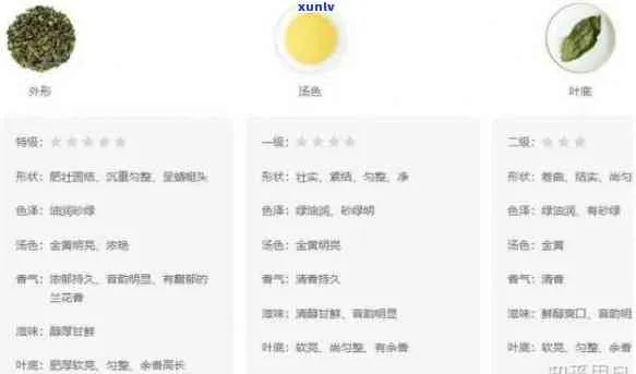 盘点平价茶叶品牌，好喝不贵的选择指南