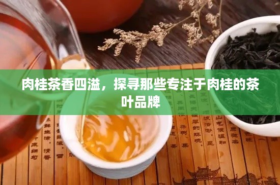 肉桂茶香四溢，探寻那些专注于肉桂的茶叶品牌