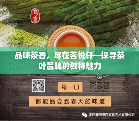 品味茶香，尽在茗悦轩—探寻茶叶品牌的独特魅力