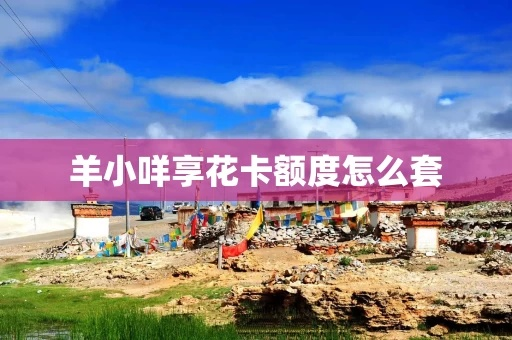 羊小咩享花卡套出来攻略
