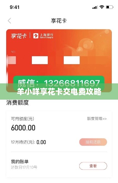 羊小咩享花卡交电费攻略