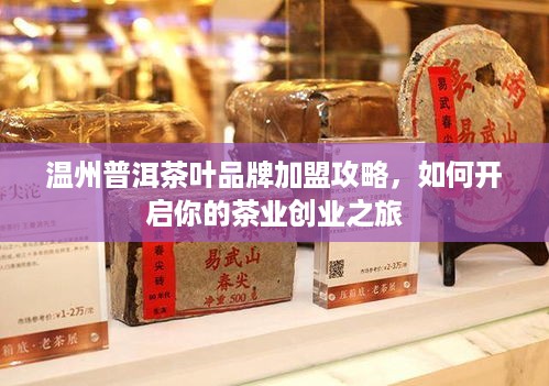 温州普洱茶叶品牌加盟攻略，如何开启你的茶业创业之旅