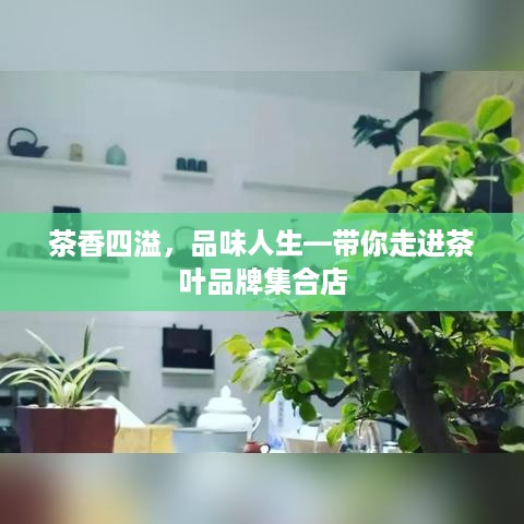 茶香四溢，品味人生—带你走进茶叶品牌集合店