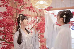 白桑汉服，探寻传统与现代交融的汉服品牌