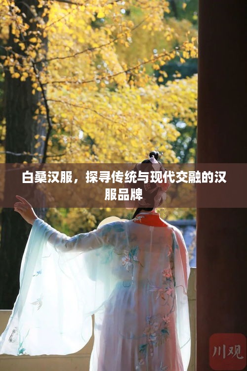 白桑汉服，探寻传统与现代交融的汉服品牌