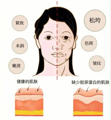 如何挑选适合自己的抗老面膜品牌，全方位指南