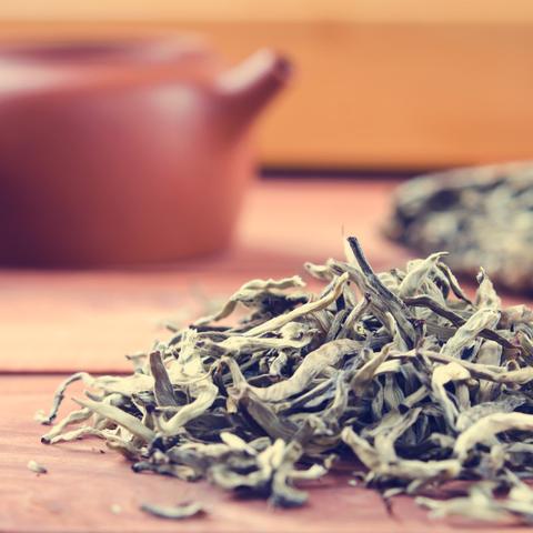 探寻历史尘埃中的瘟疫茶，那些与瘟疫抗争的茶叶传奇