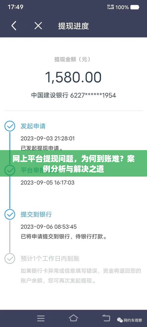 网上平台提现问题，为何到账难？案例分析与解决之道