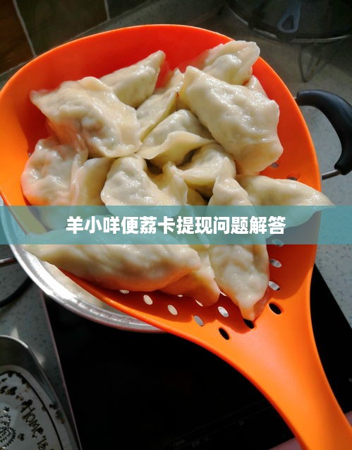 羊小咩便荔卡提现问题解答