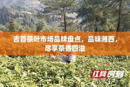 吉首茶叶市场品牌盘点，品味湘西，尽享茶香四溢