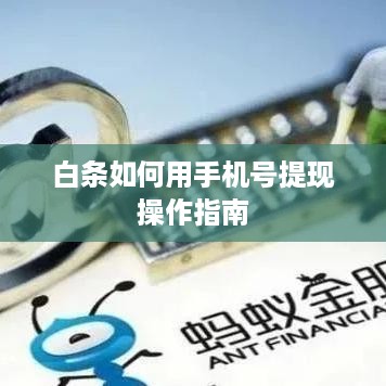 白条如何用手机号提现操作指南