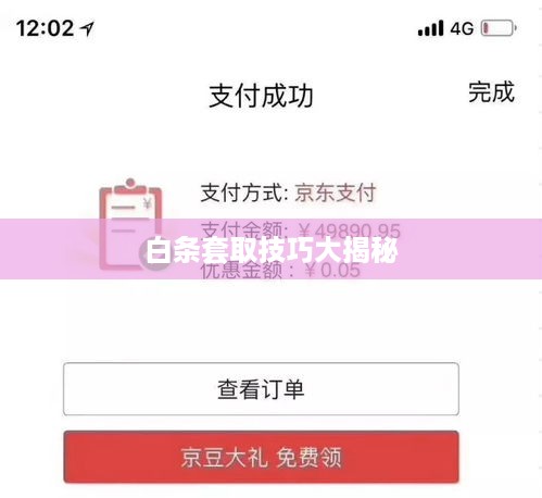白条套取技巧大揭秘