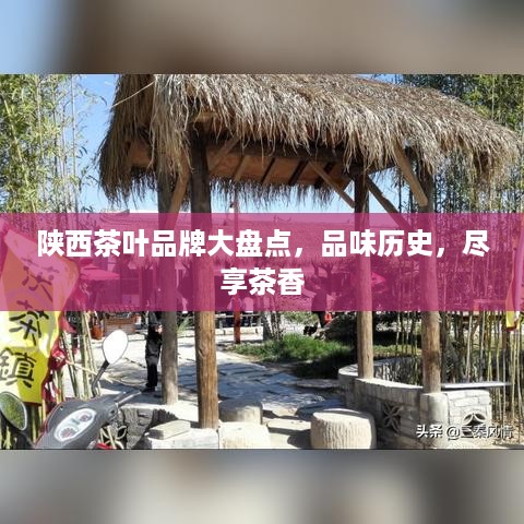 陕西茶叶品牌大盘点，品味历史，尽享茶香
