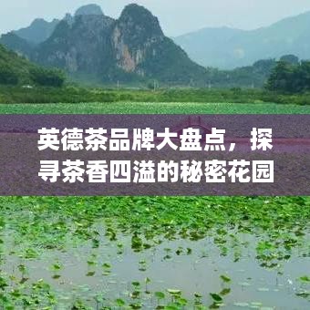 英德茶品牌大盘点，探寻茶香四溢的秘密花园