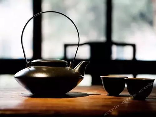 揭秘天欲茶叶，品味自然之韵，探寻茶道真谛