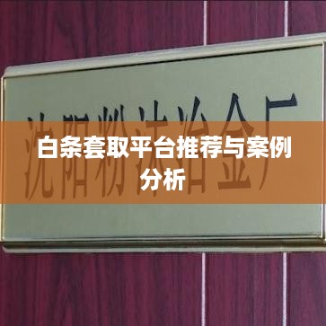 白条套取平台推荐与案例分析