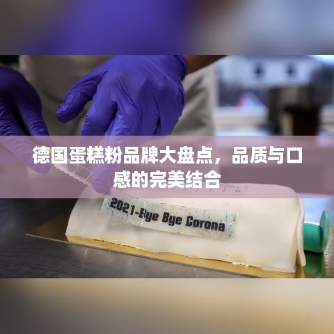 德国蛋糕粉品牌大盘点，品质与口感的完美结合