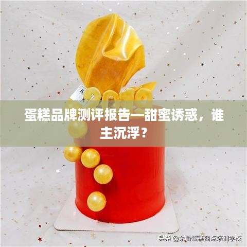 蛋糕品牌测评报告—甜蜜诱惑，谁主沉浮？