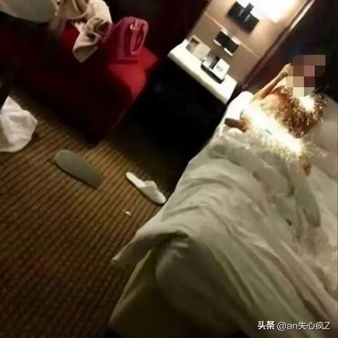 查询开房记录网址，揭秘酒店住宿信息透明化