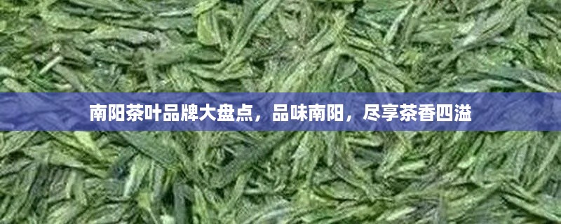 南阳茶叶品牌大盘点，品味南阳，尽享茶香四溢