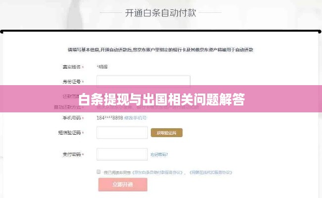 白条提现与出国相关问题解答
