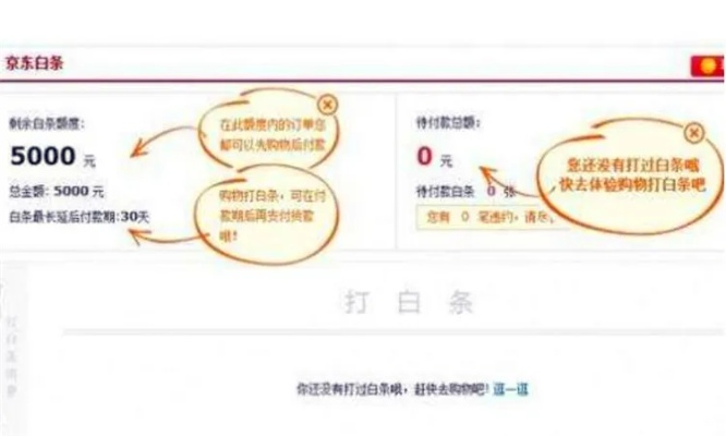 白条提现与出国相关问题解答