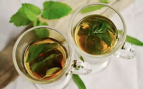 莲湖区茶叶品牌营销，让茶香飘满大街小巷