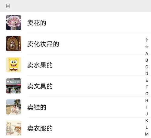 破解女朋友聊天记录，揭秘技巧与案例分析