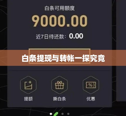 白条提现与转帐一探究竟