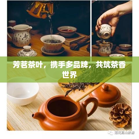 芳茗茶叶，携手多品牌，共筑茶香世界