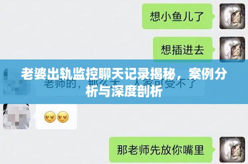 老婆出轨监控聊天记录揭秘，案例分析与深度剖析