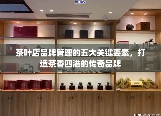 茶叶店品牌管理的五大关键要素，打造茶香四溢的传奇品牌