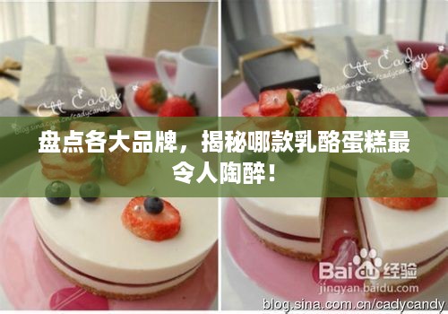 盘点各大品牌，揭秘哪款乳酪蛋糕最令人陶醉！