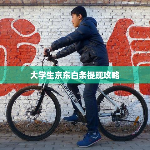 大学生京东白条提现攻略