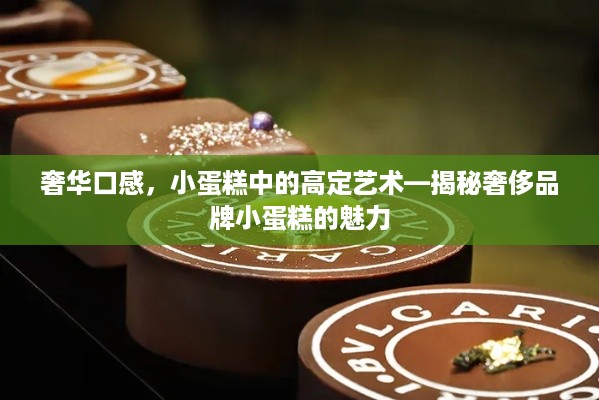 奢华口感，小蛋糕中的高定艺术—揭秘奢侈品牌小蛋糕的魅力