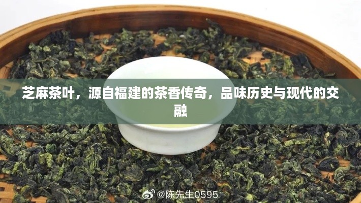 芝麻茶叶，源自福建的茶香传奇，品味历史与现代的交融