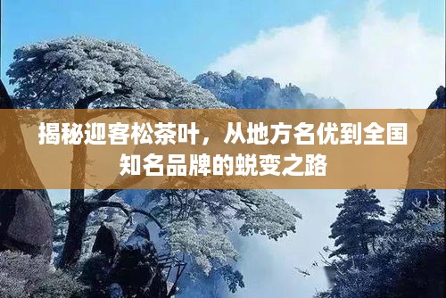 揭秘迎客松茶叶，从地方名优到全国知名品牌的蜕变之路