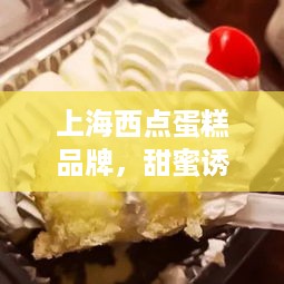 上海西点蛋糕品牌，甜蜜诱惑，品味生活