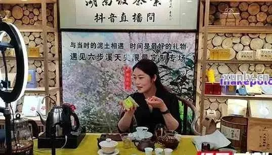 🍃限时抢购品牌茶叶大放价，直播带货带你领略茶香四溢！