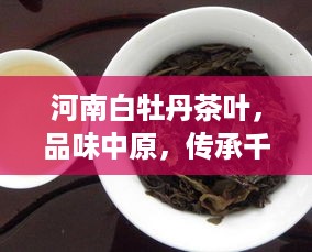 河南白牡丹茶叶，品味中原，传承千年茶香