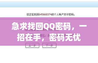 急求找回QQ密码，一招在手，密码无忧