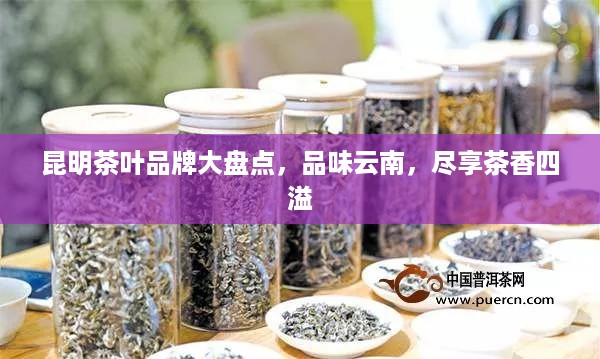 昆明茶叶品牌大盘点，品味云南，尽享茶香四溢