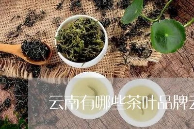 昆明茶叶品牌大盘点，品味云南，尽享茶香四溢