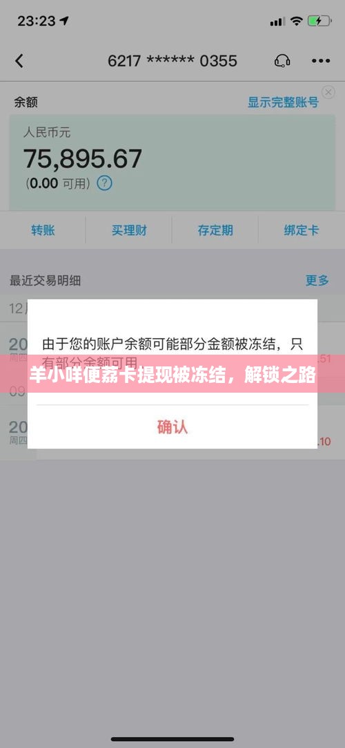 羊小咩便荔卡提现被冻结，解锁之路