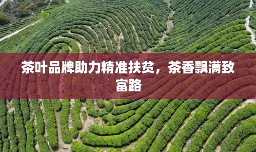 茶叶品牌助力精准扶贫，茶香飘满致富路